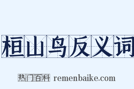 桓山鸟反义词是什么意思的图片